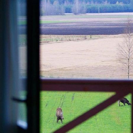 Losiowy Kat Goniadz Esterno foto